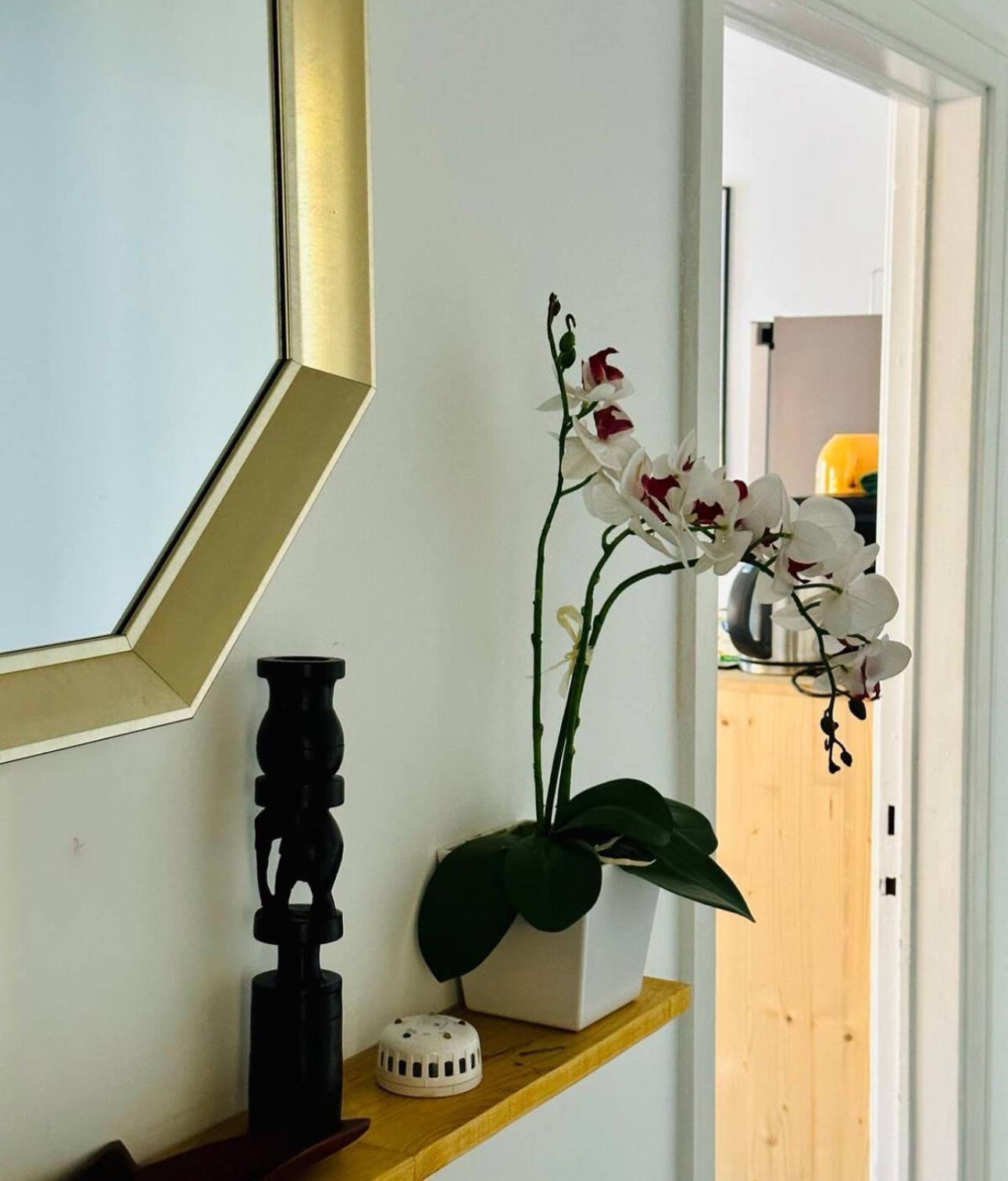 Self-Check In Sunny & Charming Apt Coimbra Exterior foto